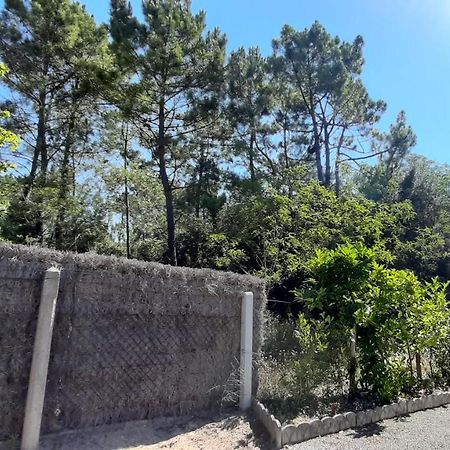 La Foret Des Rossignols - Maison 2 Chambres, Jardin Et Terrasse سان جان دي مونت المظهر الخارجي الصورة