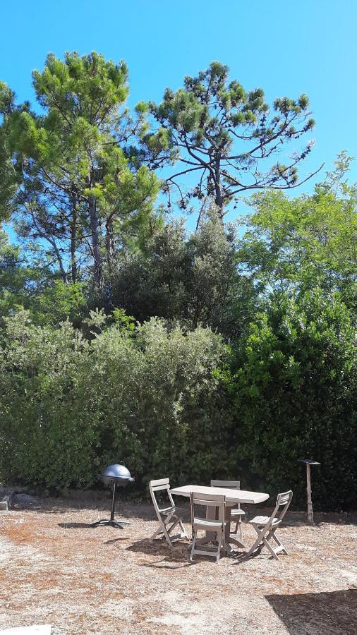 La Foret Des Rossignols - Maison 2 Chambres, Jardin Et Terrasse سان جان دي مونت المظهر الخارجي الصورة